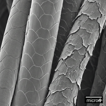 Humidity, Storage, and Wool Longevity