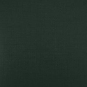 The Green Visionary | TORINO Extrafine Superfine 120's Merino Wool-Lycra Suiting